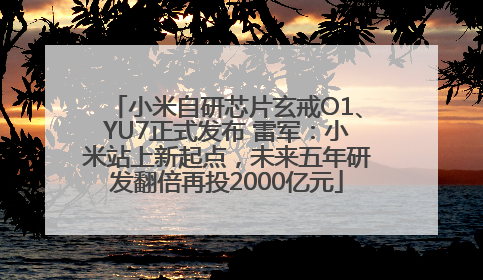 小米自研芯片玄戒O1、YU7正式发布 雷军：小米站上新起点，未来五年研发翻倍再投2000亿元